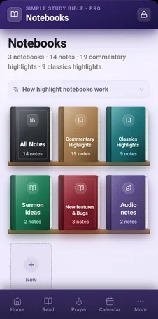 The Notebooks feature in Simple Study Bible Pro, showing three notebooks, including Commentary Highlights and Classics Highlights, and a shelf of sermon and audio notebooks below.